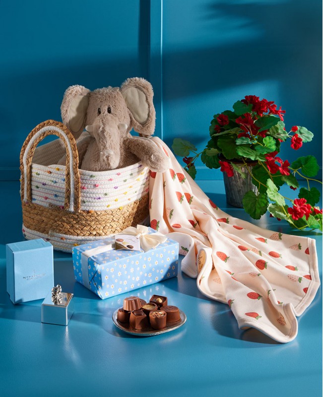 Born To Be Adored Gift Hamper